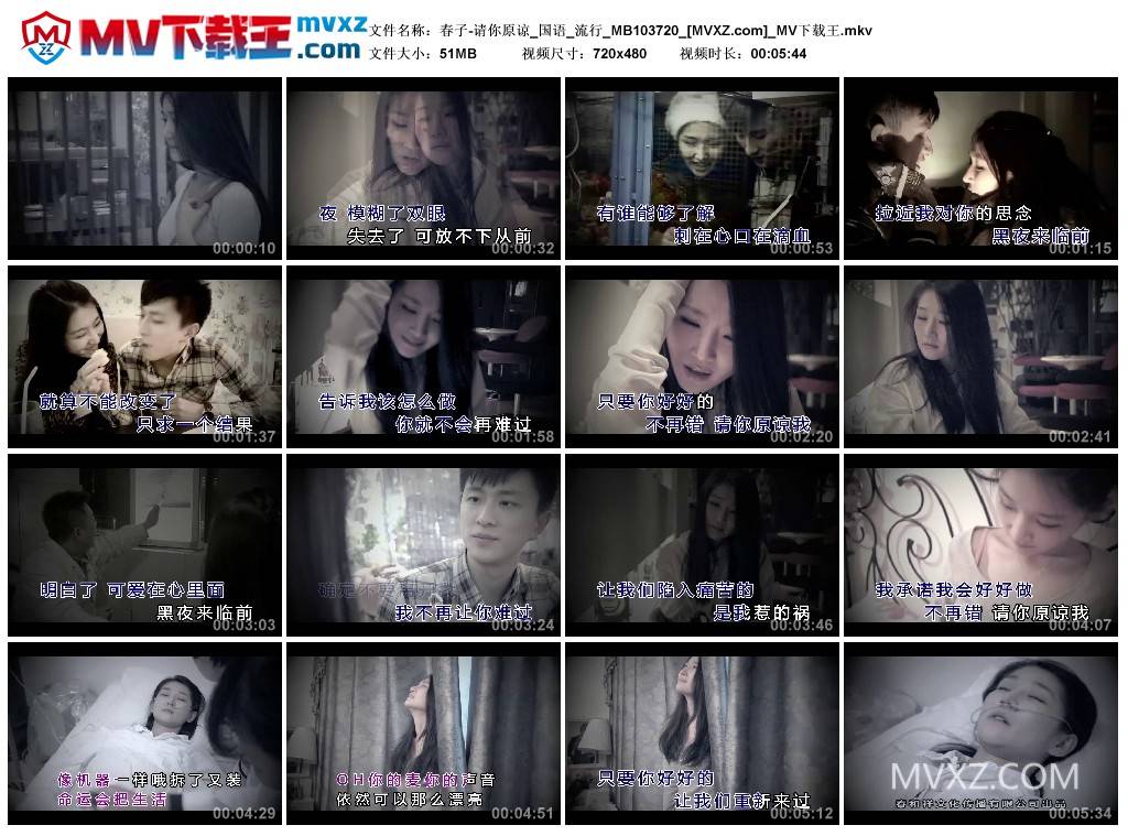 春子-请你原谅_国语_流行_MB103720